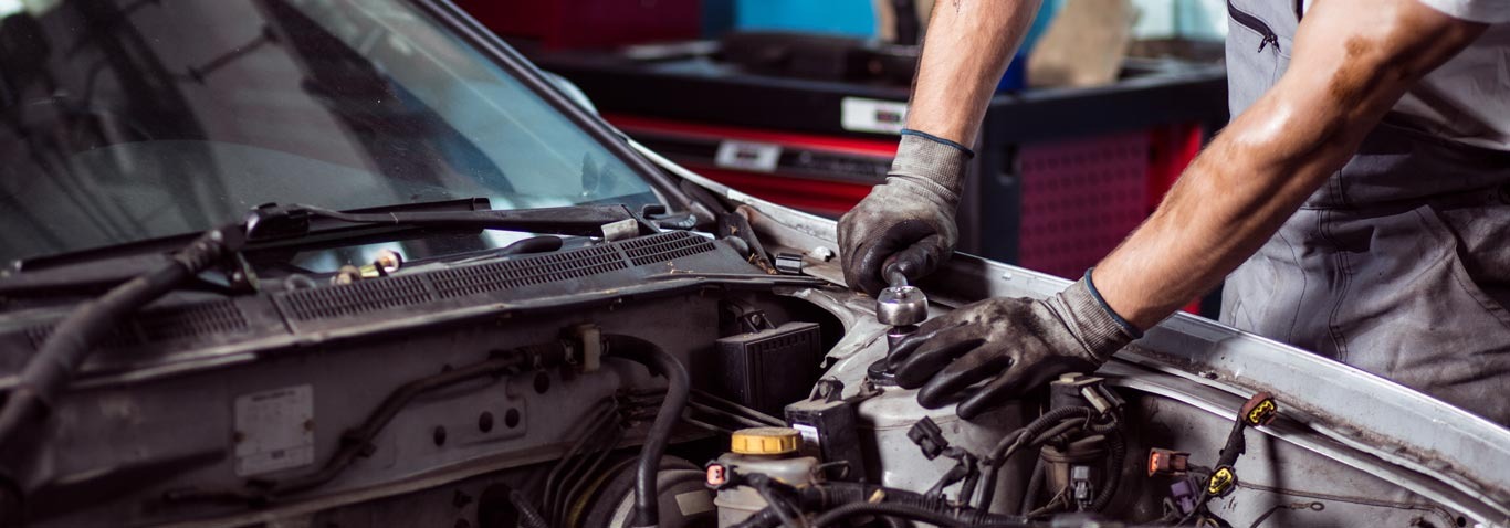 Mutlu Şahin Özel Ford Servisi